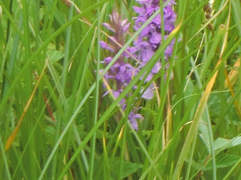 photo22.jpg