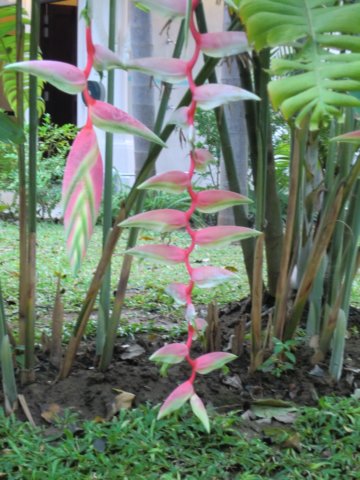 photo23.jpg