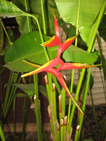 photo26.jpg