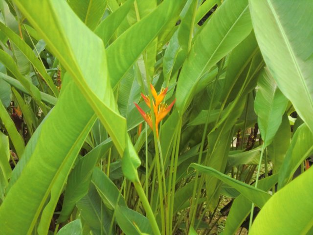 photo29.jpg