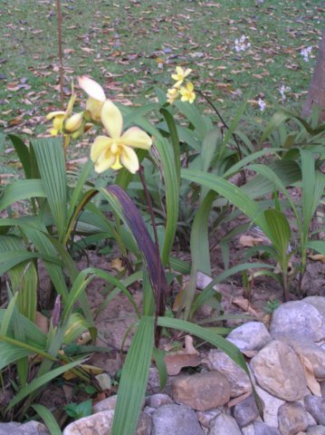 photo32.jpg