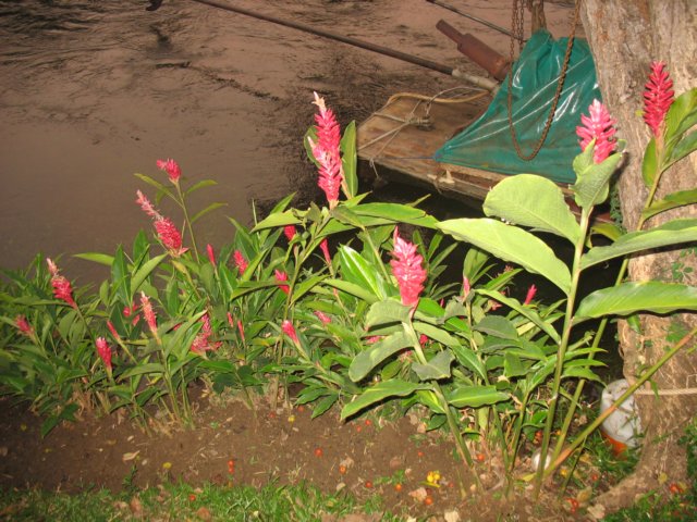 photo38.jpg