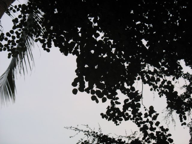 photo41.jpg
