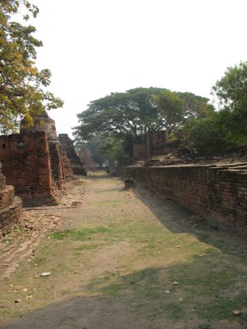 photo59.jpg