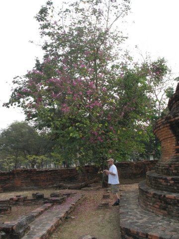 photo70.jpg
