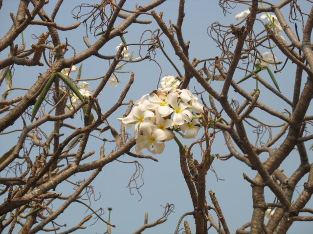photo79.jpg