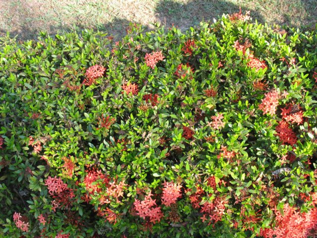 photo180.jpg