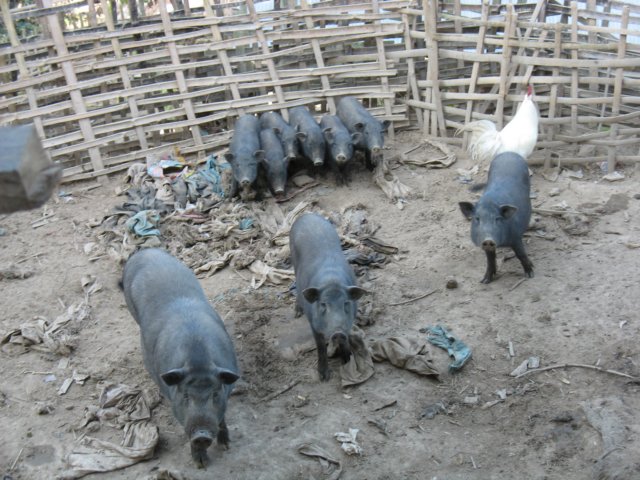 photo135.jpg