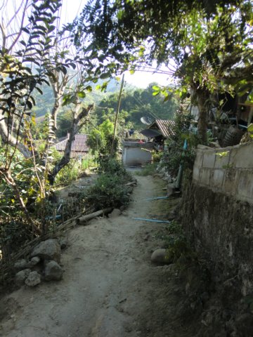 photo63.jpg