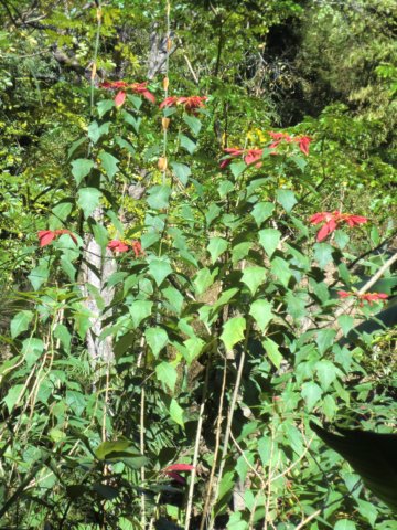 photo77.jpg
