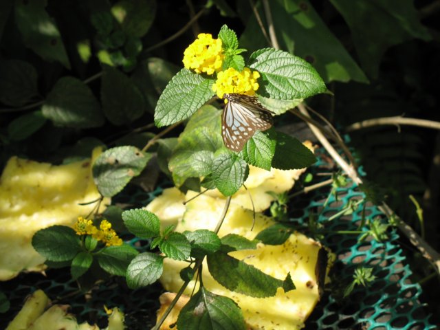photo145.jpg