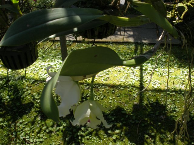 photo174.jpg