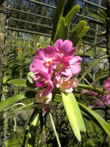 photo48.jpg