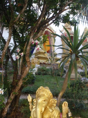 photo140.jpg