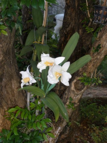 photo144.jpg