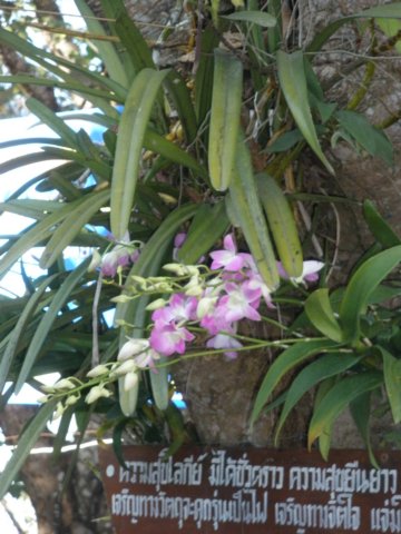 photo147.jpg