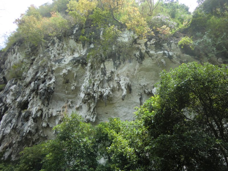 photo31.jpg