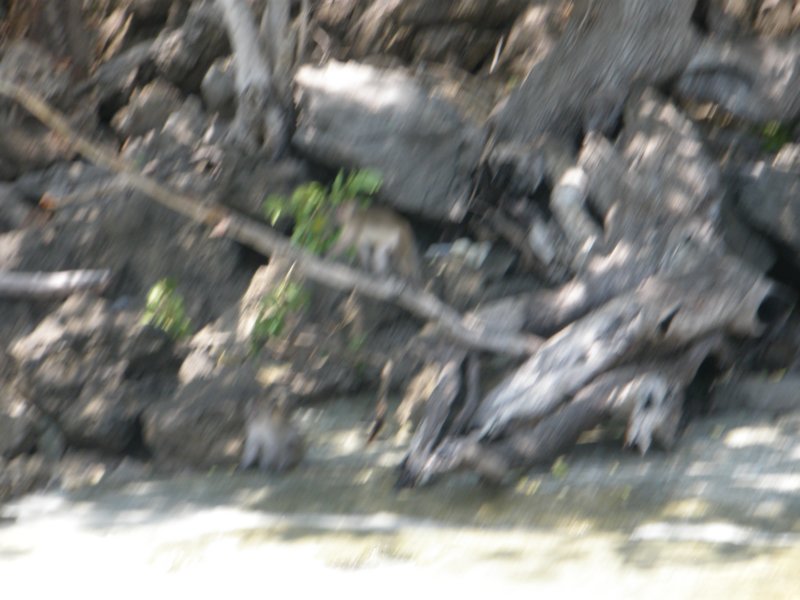 photo121.jpg