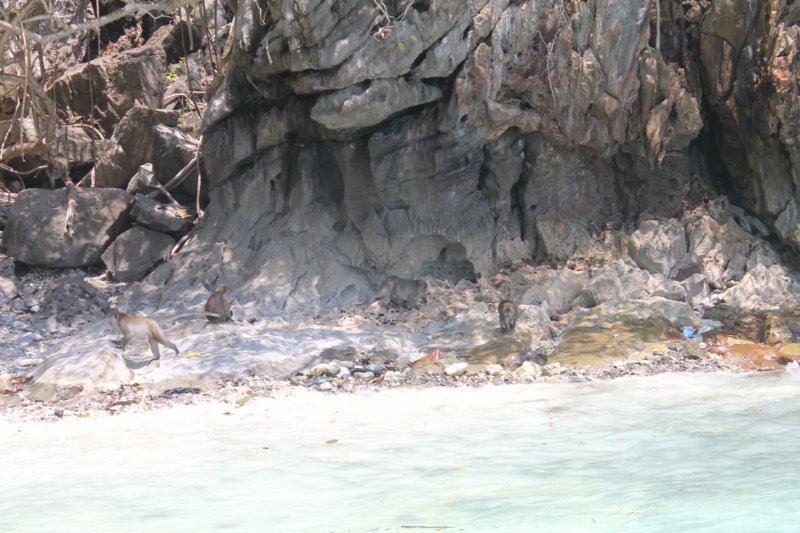 photo68.jpg