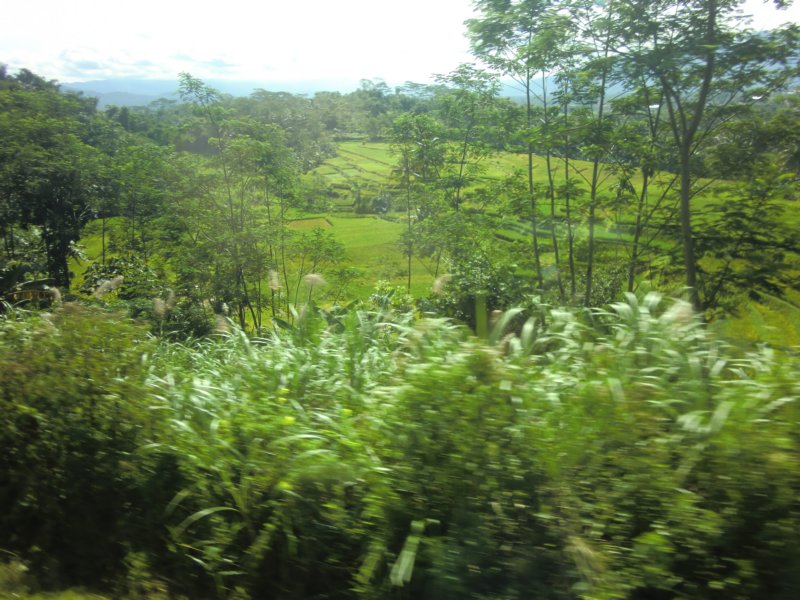 photo140.jpg