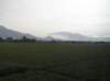 photo156_small.jpg