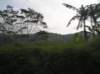photo175_small.jpg