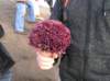 photo562_small.jpg