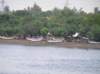 photo668_small.jpg