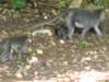 photo744_small.jpg