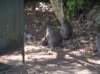 photo751_small.jpg