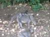 photo752_small.jpg