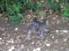 photo753_small.jpg