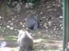 photo754_small.jpg