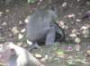 photo755_small.jpg