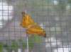 photo944_small.jpg