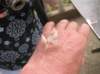 photo950_small.jpg