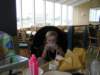 Photo Number 7