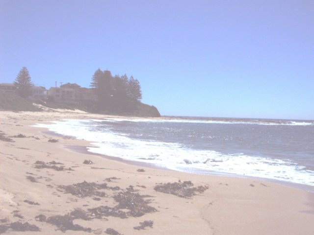 Photograph