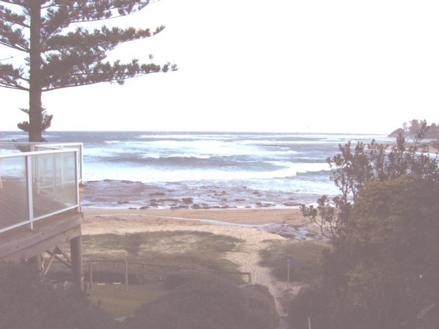 Photograph