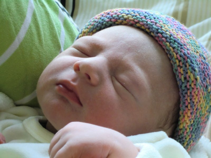 photo1.jpg